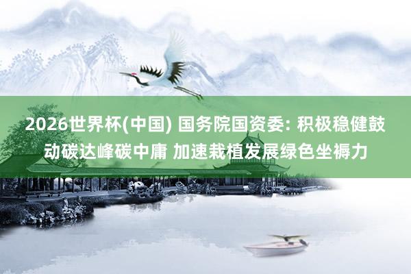 2026世界杯(中国) 国务院国资委: 积极稳健鼓动碳达峰碳中庸 加速栽植发展绿色坐褥力