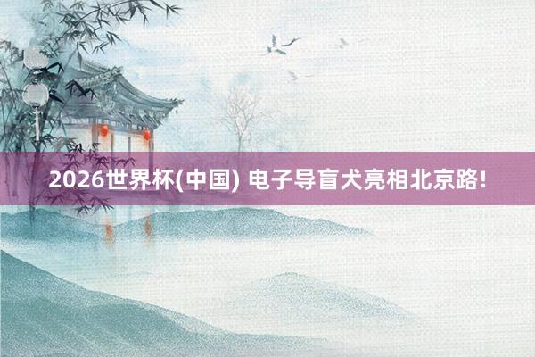 2026世界杯(中国) 电子导盲犬亮相北京路!