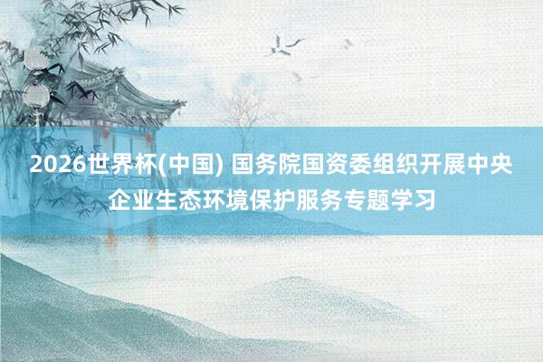 2026世界杯(中国) 国务院国资委组织开展中央企业生态环境保护服务专题学习