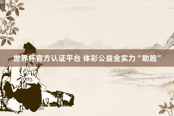 世界杯官方认证平台 体彩公益金实力“助跑”
