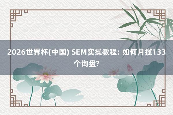 2026世界杯(中国) SEM实操教程: 如何月揽133个询盘?