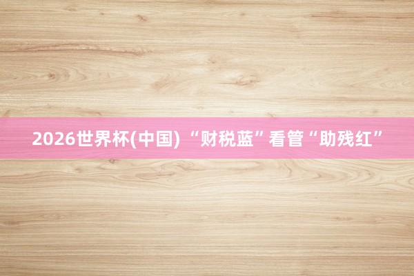 2026世界杯(中国) “财税蓝”看管“助残红”