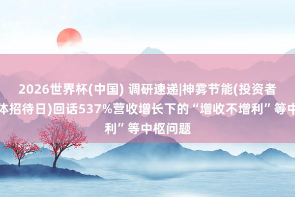 2026世界杯(中国) 调研速递|神雾节能(投资者网上集体招待日)回话537%营收增长下的“增收不增利”等中枢问题