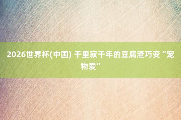 2026世界杯(中国) 千里寂千年的豆腐渣巧变“宠物爱”