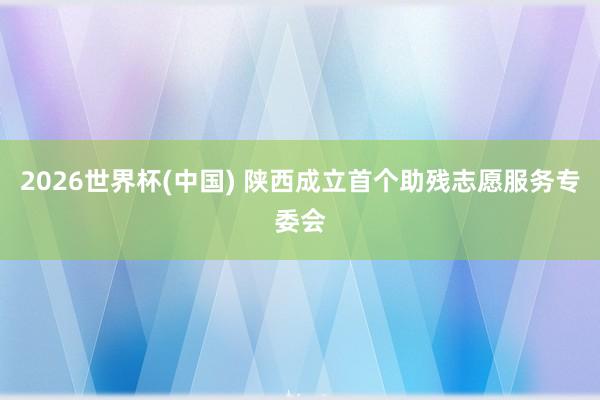 2026世界杯(中国) 陕西成立首个助残志愿服务专委会