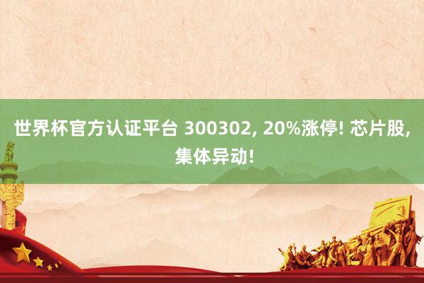 世界杯官方认证平台 300302， 20%涨停! 芯片股， 集体异动!