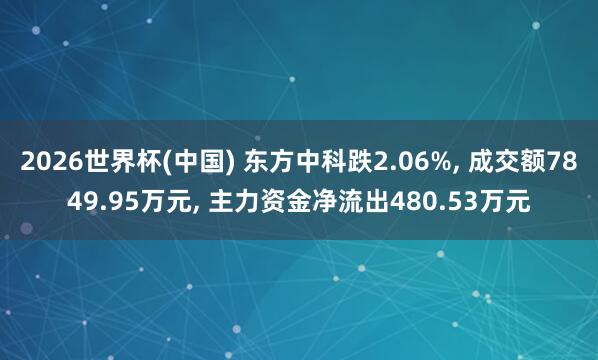 2026世界杯(中国) 东方中科跌2.06%, 成交额7849.95万元, 主力资金净流出480.53万元