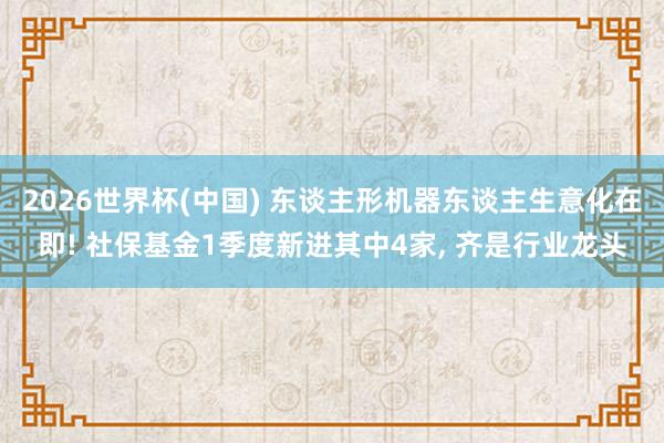 2026世界杯(中国) 东谈主形机器东谈主生意化在即! 社保基金1季度新进其中4家， 齐是行业龙头