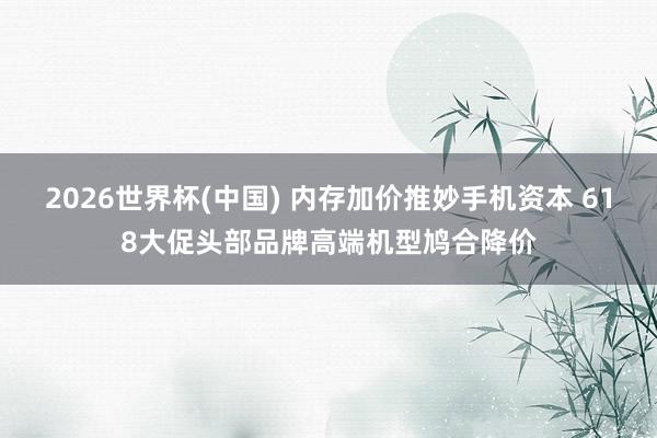2026世界杯(中国) 内存加价推妙手机资本 618大促头部品牌高端机型鸠合降价