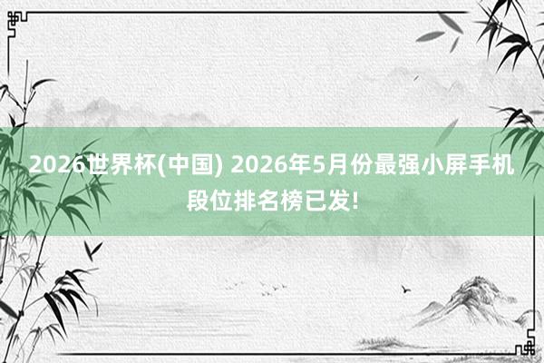2026世界杯(中国) 2026年5月份最强小屏手机段位排名榜已发!
