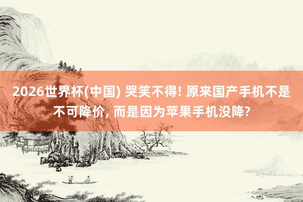 2026世界杯(中国) 哭笑不得! 原来国产手机不是不可降价， 而是因为苹果手机没降?
