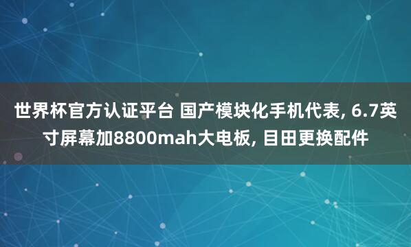 世界杯官方认证平台 国产模块化手机代表， 6.7英寸屏幕加8800mah大电板， 目田更换配件