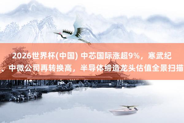 2026世界杯(中国) 中芯国际涨超9%，寒武纪、中微公司再转换高，半导体缔造龙头估值全景扫描