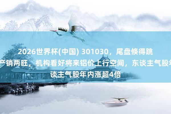 2026世界杯(中国) 301030，尾盘倏得跳水！铝加工产销两旺，机构看好将来铝价上行空间，东谈主气股年内涨超4倍