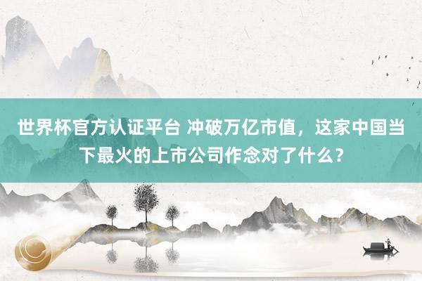 世界杯官方认证平台 冲破万亿市值，这家中国当下最火的上市公司作念对了什么？
