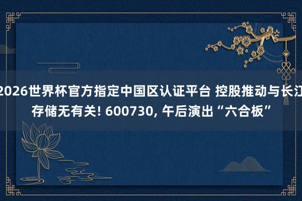 2026世界杯官方指定中国区认证平台 控股推动与长江存储无有关! 600730, 午后演出“六合板”