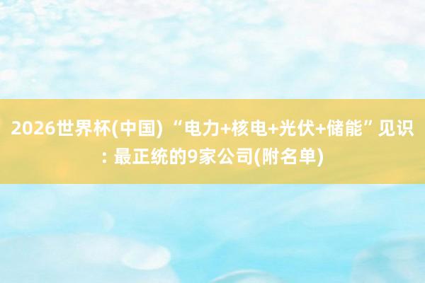 2026世界杯(中国) “电力+核电+光伏+储能”见识: 最正统的9家公司(附名单)