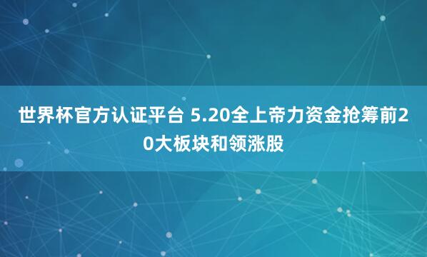 世界杯官方认证平台 5.20全上帝力资金抢筹前20大板块和领涨股