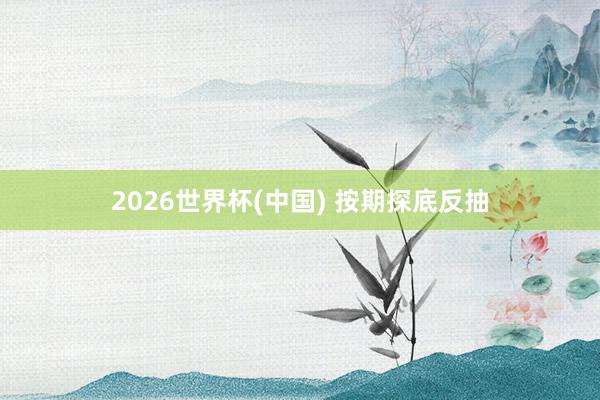 2026世界杯(中国) 按期探底反抽
