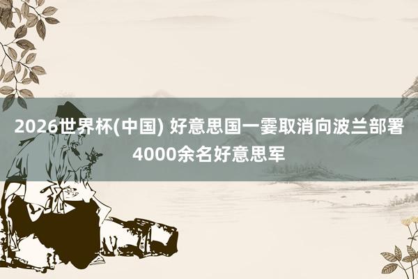 2026世界杯(中国) 好意思国一霎取消向波兰部署4000余名好意思军