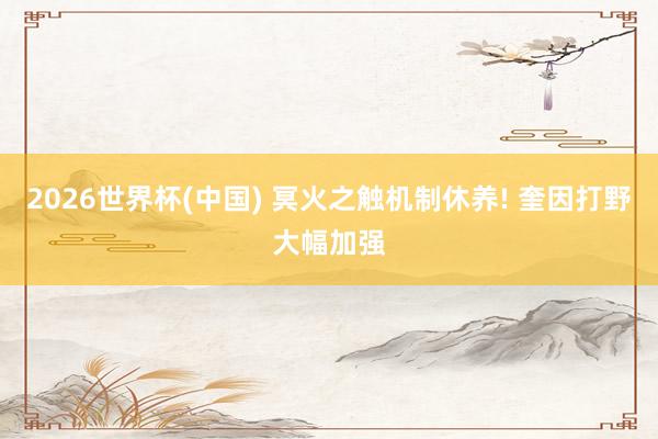 2026世界杯(中国) 冥火之触机制休养! 奎因打野大幅加强
