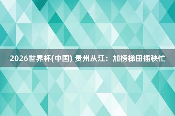 2026世界杯(中国) 贵州从江：加榜梯田插秧忙
