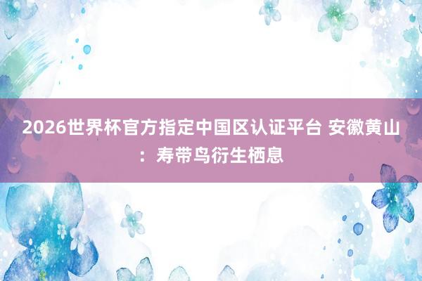 2026世界杯官方指定中国区认证平台 安徽黄山：寿带鸟衍生栖息
