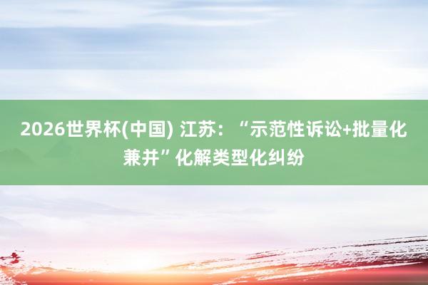 2026世界杯(中国) 江苏：“示范性诉讼﹢批量化兼并”化解类型化纠纷