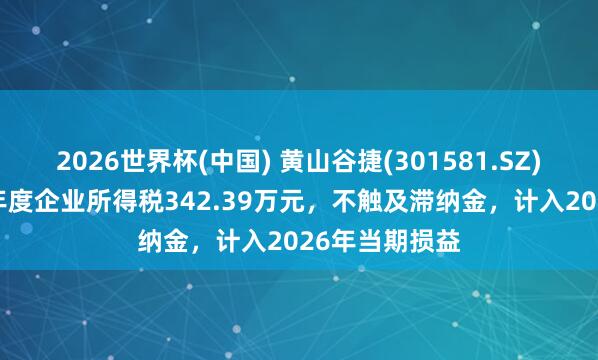 2026世界杯(中国) 黄山谷捷(301581.SZ):补缴2025年度企业所得税342.39万元,不触及滞纳金,计入2026年当期损益