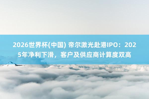 2026世界杯(中国) 帝尔激光赴港IPO：2025年净利下滑，客户及供应商计算度双高