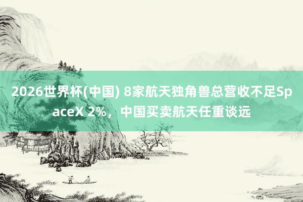 2026世界杯(中国) 8家航天独角兽总营收不足SpaceX 2%，中国买卖航天任重谈远
