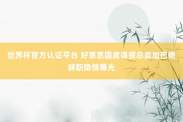 世界杯官方认证平台 好意思国度谍报总监加巴德辞职隐情曝光