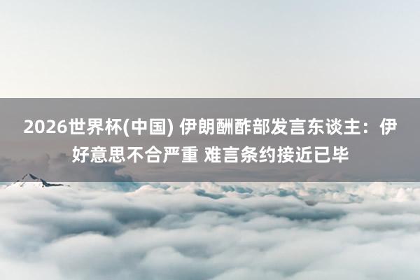 2026世界杯(中国) 伊朗酬酢部发言东谈主：伊好意思不合严重 难言条约接近已毕