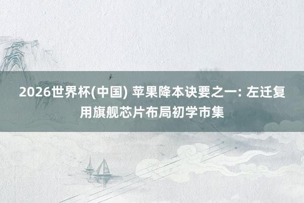 2026世界杯(中国) 苹果降本诀要之一: 左迁复用旗舰芯片布局初学市集
