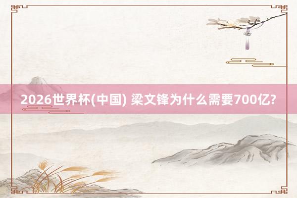 2026世界杯(中国) 梁文锋为什么需要700亿?