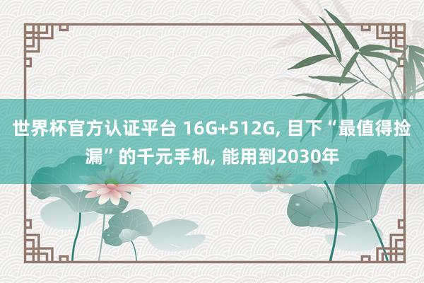 世界杯官方认证平台 16G+512G, 目下“最值得捡漏”的千元手机, 能用到2030年