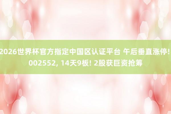 2026世界杯官方指定中国区认证平台 午后垂直涨停! 002552， 14天9板! 2股获巨资抢筹