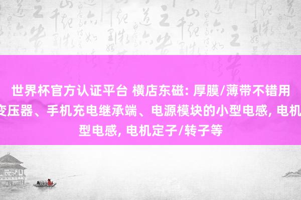 世界杯官方认证平台 横店东磁: 厚膜/薄带不错用于OBC中的变压器、手机充电继承端、电源模块的小型电感， 电机定子/转子等