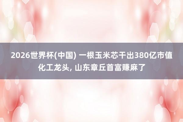 2026世界杯(中国) 一根玉米芯干出380亿市值化工龙头， 山东章丘首富赚麻了