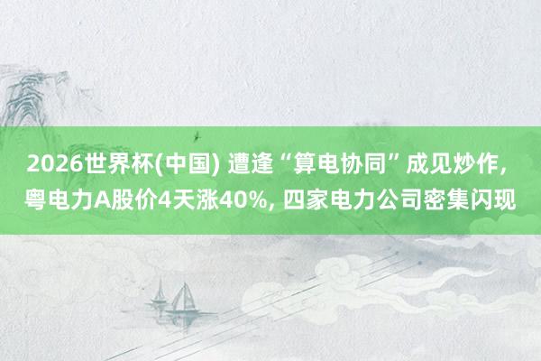 2026世界杯(中国) 遭逢“算电协同”成见炒作, 粤电力A股价4天涨40%, 四家电力公司密集闪现