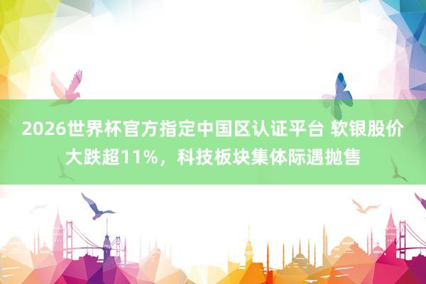 2026世界杯官方指定中国区认证平台 软银股价大跌超11%,科技板块集体际遇抛售