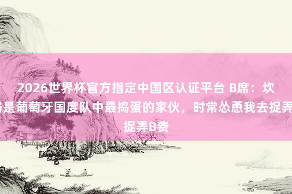 2026世界杯官方指定中国区认证平台 B席：坎塞洛是葡萄牙国度队中最捣蛋的家伙，时常怂恿我去捉弄B费