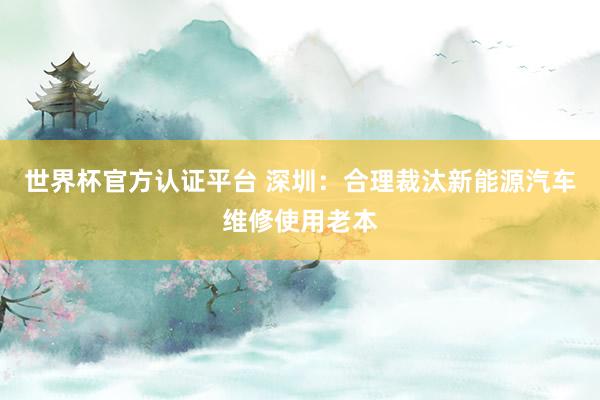 世界杯官方认证平台 深圳:合理裁汰新能源汽车维修使用老本