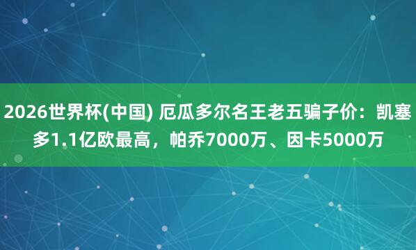 2026世界杯(中国) 厄瓜多尔名王老五骗子价：凯塞多1.1亿欧最高，帕乔7000万、因卡5000万