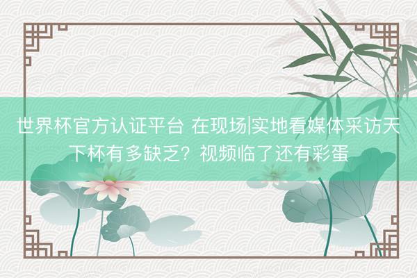 世界杯官方认证平台 在现场|实地看媒体采访天下杯有多缺乏？视频临了还有彩蛋