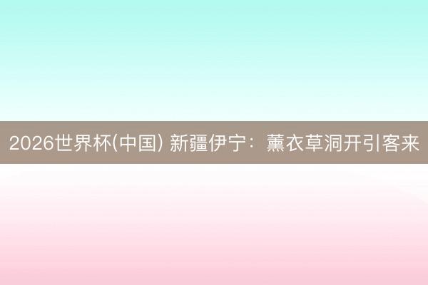 2026世界杯(中国) 新疆伊宁：薰衣草洞开引客来