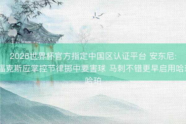 2026世界杯官方指定中国区认证平台 安东尼: 福克斯应掌控节律掷中要害球 马刺不错更早启用哈珀